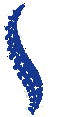 Pain & Wellness Centers of Southern California - Logo