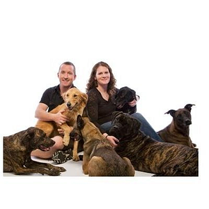 Lose The Leash Dog Training