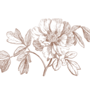 Nikayla & Co. - Logo