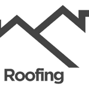 Idea Roofing