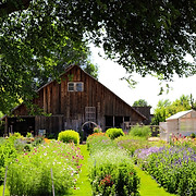 Mason Creek Farms