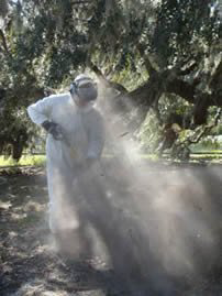Advanced Tree Care Inc - Logo