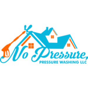 No Pressure, Pressure Washing LLC - Logo