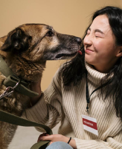 Citizen Canine Senior Dog Rescue - Logo