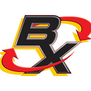 Battery X-Change - Logo