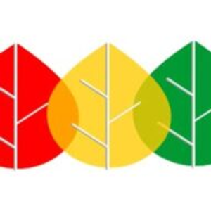 Outdoor Expressions - Logo