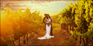The Photo Couple... Wedding Photography by Steven and Tammy Hermann - Logo