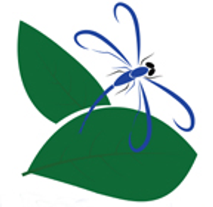 All Grounds Covered Management