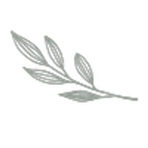 Healing Connections | Holistic Therapy - Logo
