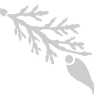 Loyly Sauna Southeast - Logo