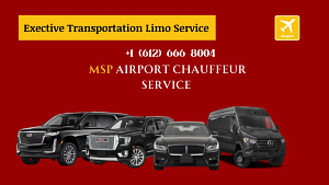 Twin Cities Black Car Airport Cabs Taxi Service Minneapolis