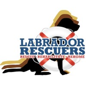 Labrador Rescuers