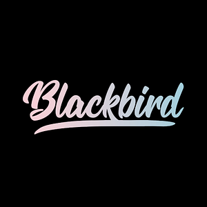Blackbird Digital, LLC - Logo