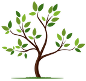 Belmont Psychological Services - Logo