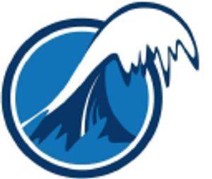Big Swell The Agency - Digital Marketing | SEO | Web Design - Logo