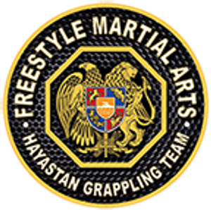 Hayastan MMA - Logo