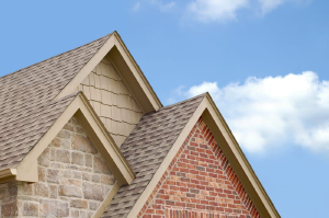 Roofbuds Roofing Solutions - Logo