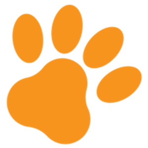 Dog Walking-N-More