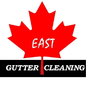 East Gutter Cleaning