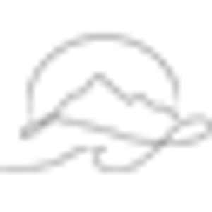 Salt to Summit Elopements - Logo