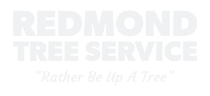 Redmond Tree Service LLC in Kentucky - Logo
