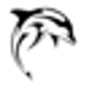 Dolphin Tours Jacksonville - Logo