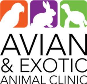 Avian & Exotic Animal Clinic - Logo