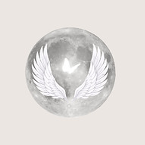SAVI Energetics - Logo