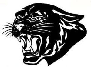 PANTHER Volleyball Club - Logo
