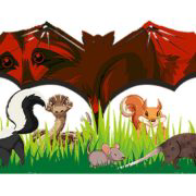 Ultimate Pro Wildlife Removal LLC Columbus Ohio - Logo