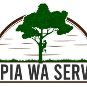 Olympia WA Services - Logo