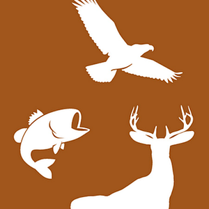 Georgia Division of Family and Children Services State Office - Logo