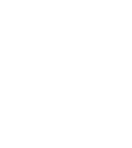 AlignLife - Chiropractic & Natural Health Center - Logo