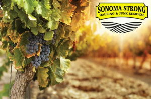 Sonoma Strong Hauling & Junk Removal