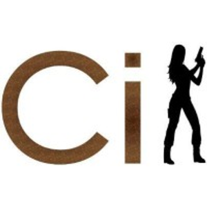 Complete Investigations & Security, Inc. - Private investigator in Marietta