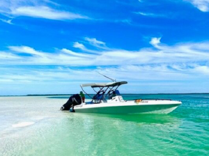 Sea Monkey Charters - Logo