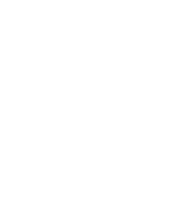 SeaEO Luxury Boat Charters - Logo