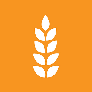Feeding Northeast Florida - Logo