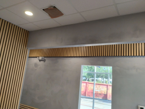 Professional Plastering & More LLC