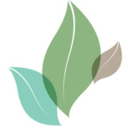 Melis Doglu LLC (Health & Nutrition Coaching) - Logo