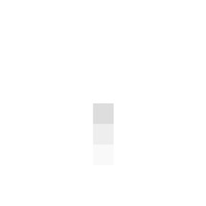Painting America Inc - Logo