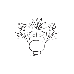 Palma Hawaii - Logo