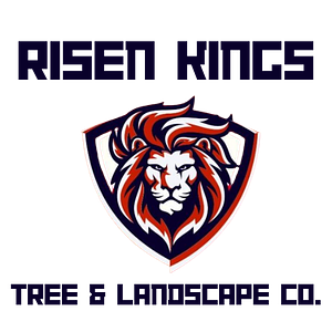 Risen kings tree, service & landscape co. LLC.
