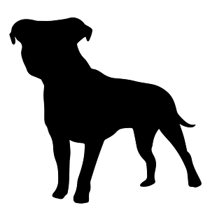 Dog Days San Diego - Logo