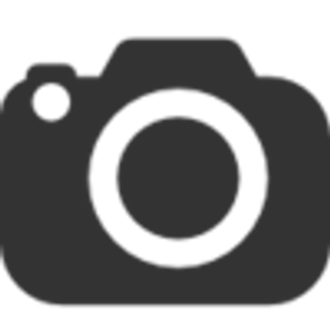 Atlanta Artistic Wedding photographers - Logo