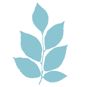 Gallery Massage and Skincare - Logo