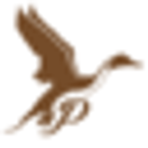 Pintail Hunting Club - Logo