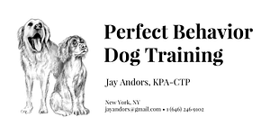 Perfect Behavior Dog Training