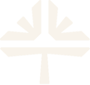 The B-12 Store - Logo