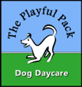 Playful Pack - Logo